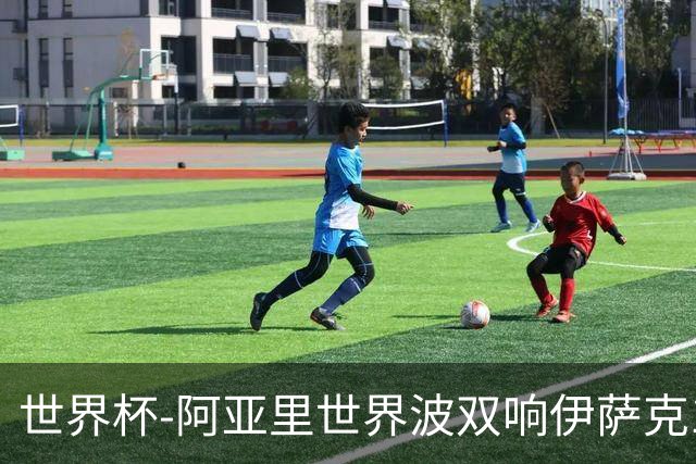 世界杯-阿亚里世界波双响伊萨克1射2传 瑞典5-1突尼斯